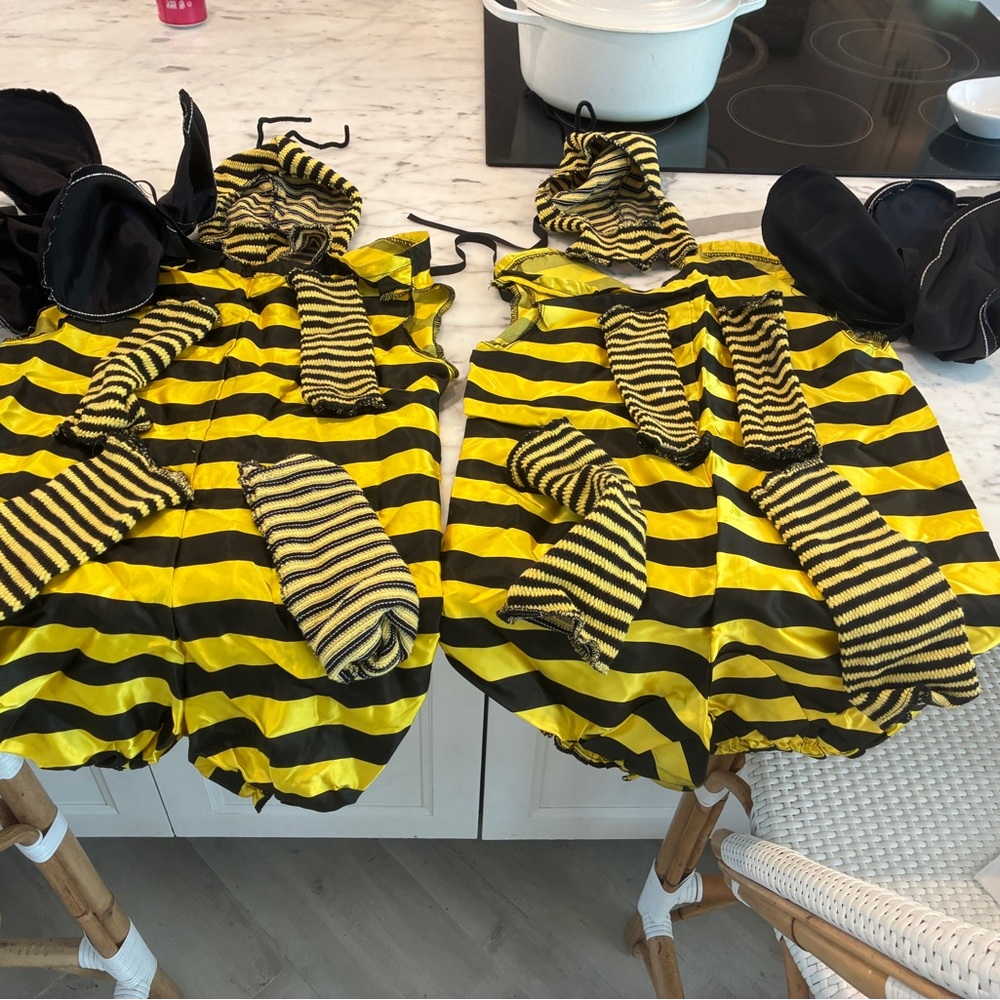 Yellow and Black Striped Bee Costumes